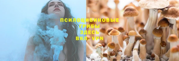 винт Богородск