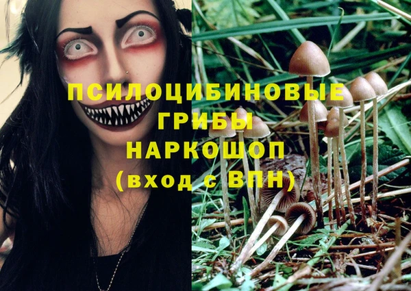 2c-b Богданович