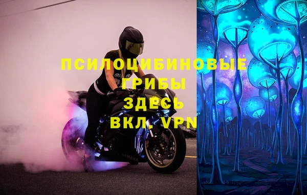 винт Богородск