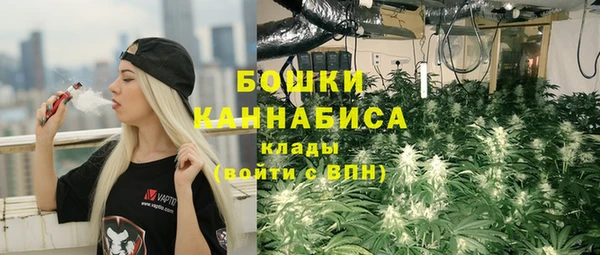 2c-b Богданович