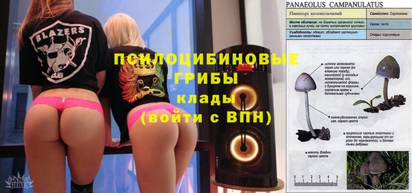 винт Богородск