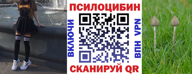 Галлюциногенные грибы Cubensis  Бугуруслан 